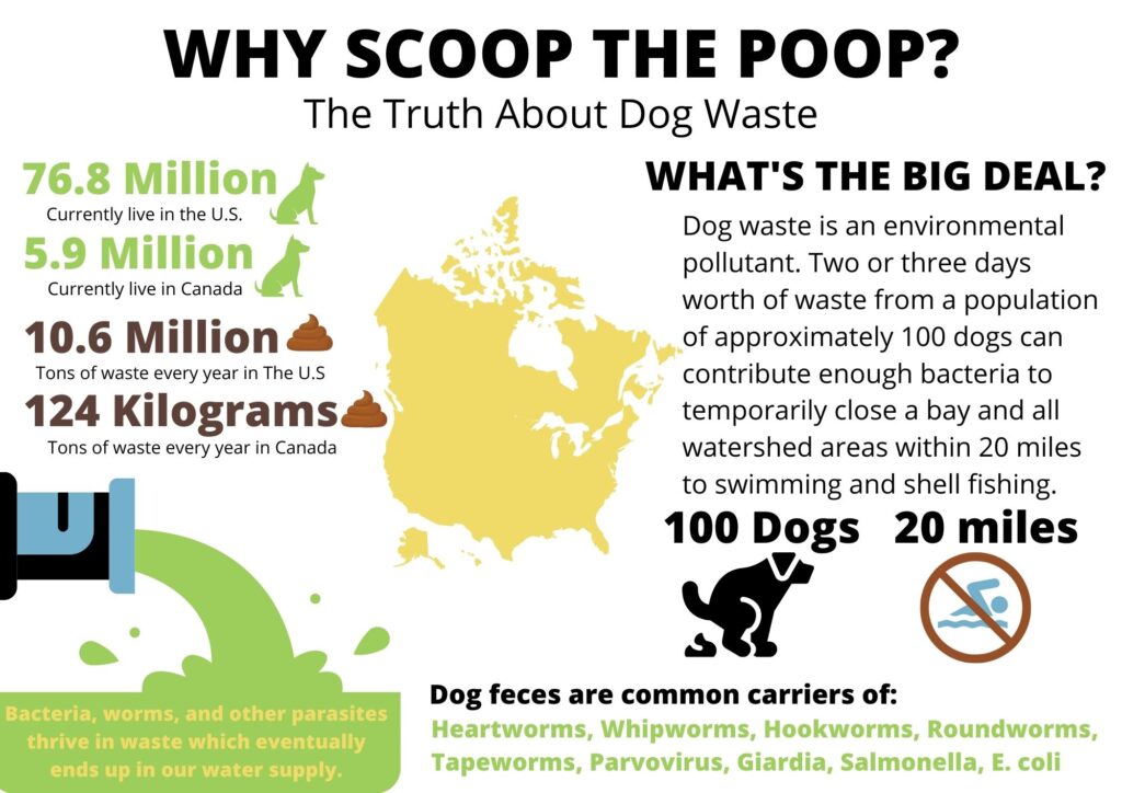 why scoop the poop? The truth about dog waste. What's the big deal? dog waste is an environmental pollutant. two or three days worth of waste from a population of approximately 100 dogs can contribute enough bacteria to temporarily close a bay and all watershed areas within 20 miles to swimming and shell fishing. Dog feces are common carrier of: heartworms, whipworms, hookworms, roundworms, tapeworms, parvovirus, giardia, salmonella, e.coli.