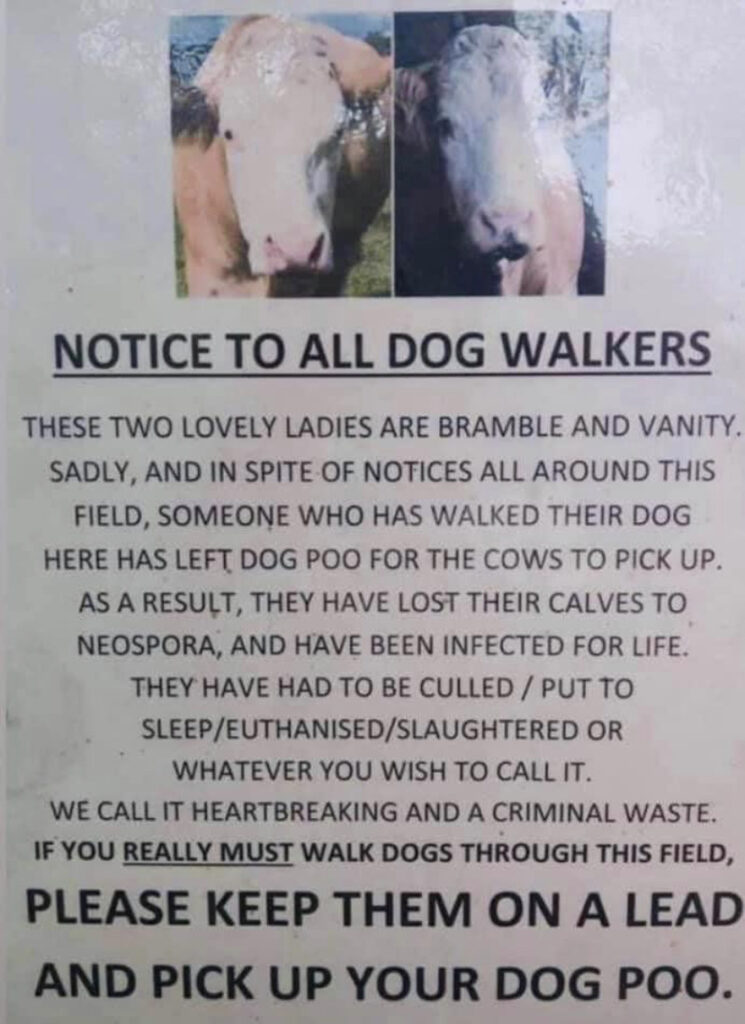 Notice to all dog walkers, these two lovely ladies (cows) are bramble and vanity. Sadly, and in spite of notices all around this field, someone who has walked their dog here has left dog poo for the cows to pick up. as a result, they have lost their calves to neospora, and have been infected for life. They have had to be culled/put to sleep/euthanised/slaughtered or whatever you wish to call it pick up after your pet.