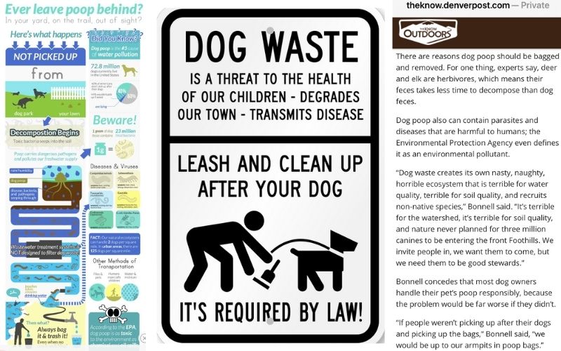 ever leave poop behind? dog waste is a threat to the health of our children- degrades our town-transmits disease. Leash and clean up after your dog, it's required by law. dog poop can contain parasites and diseases that are harmful to humans. Pick up after your pet.