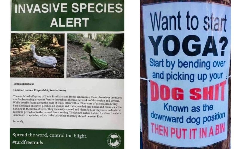 Invasive species alert, crap rabbit, turd free trails, want to start yoga? start by bending over and picking up your dog shit know as the downward dog position then put it in a bin. scoop2 poops or litter. Pick up after your pet.