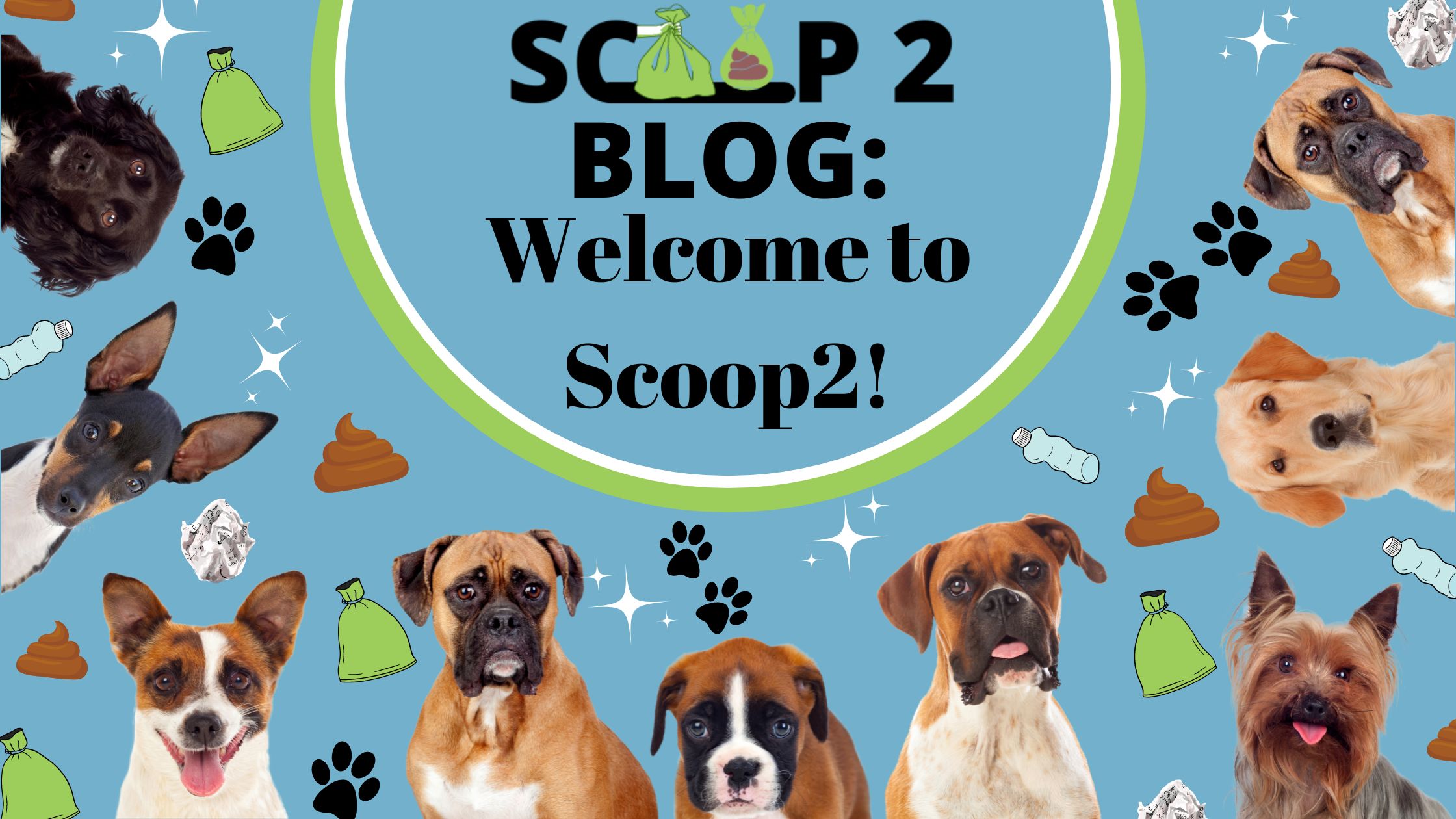 Scoop2 Blog: welcome to scoop2!