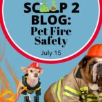 Pet fire safety