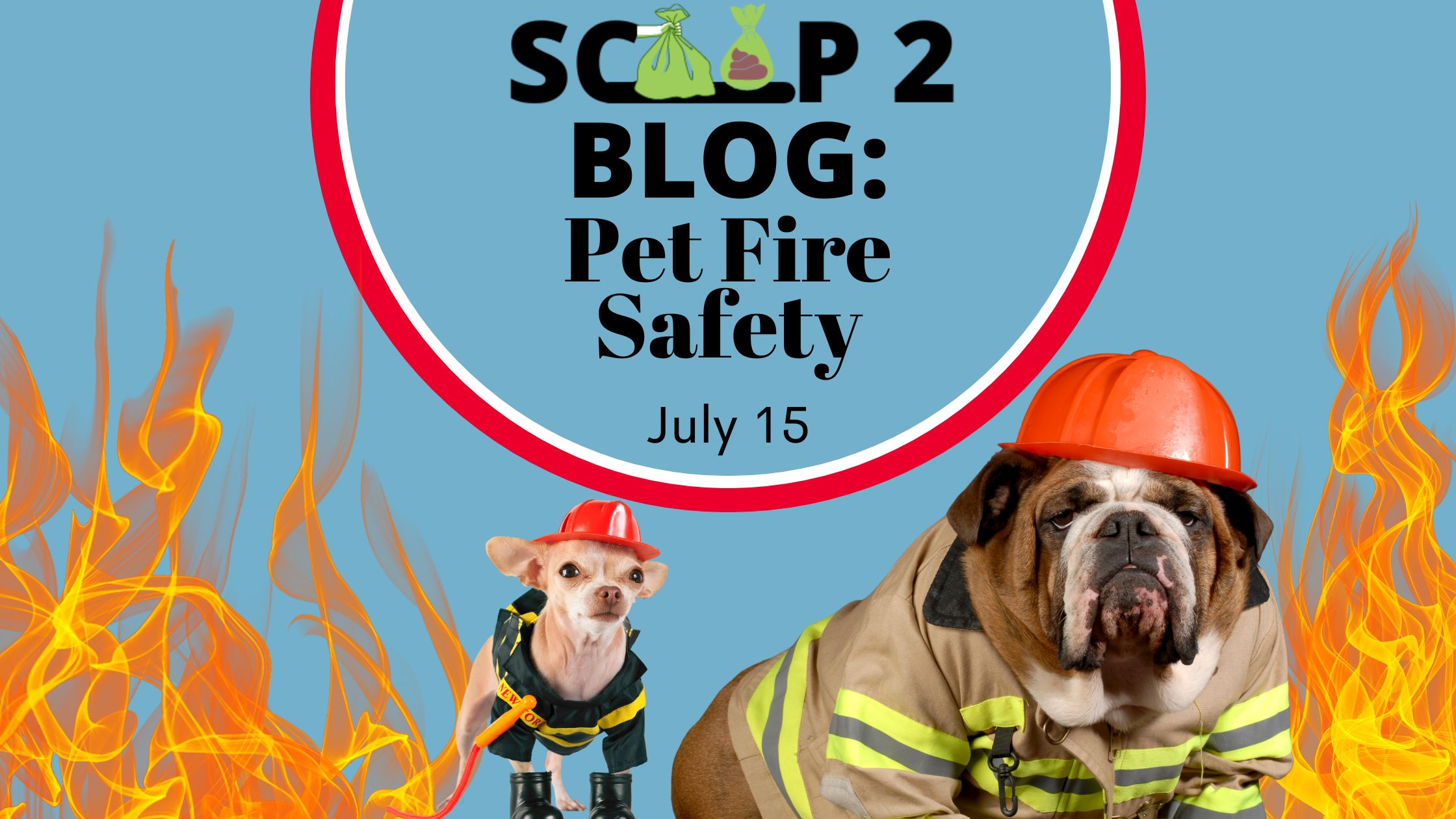 Pet fire safety