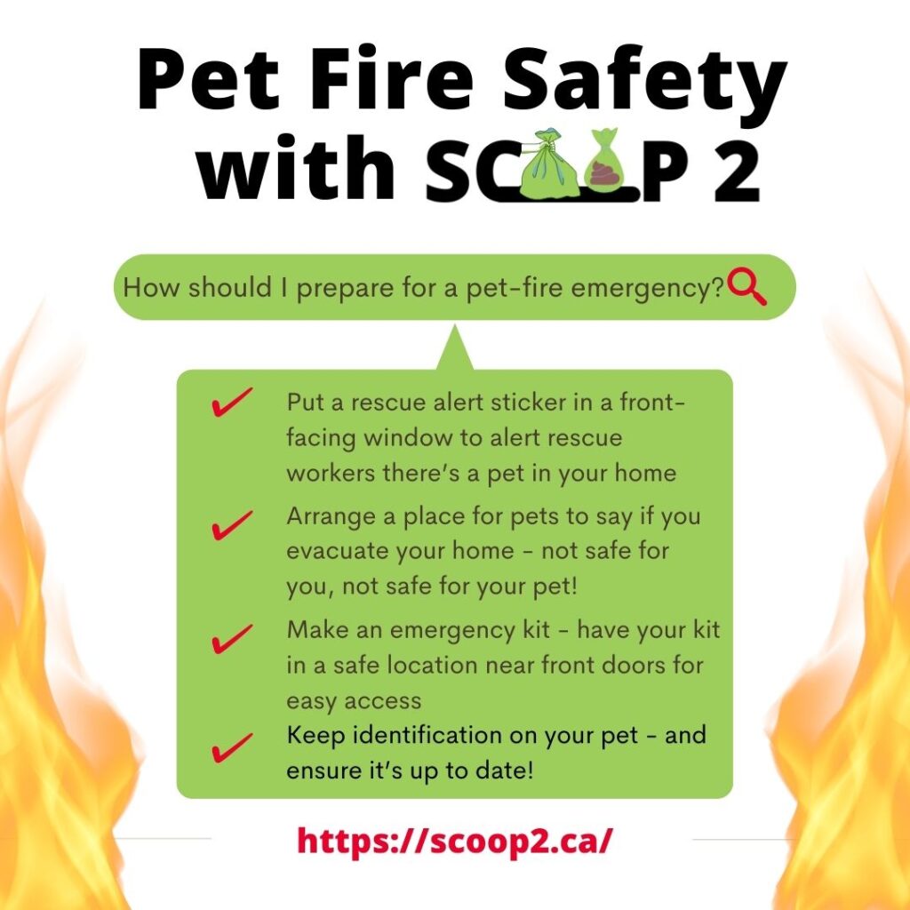 Pet Fire Safety with Scoop 2. How to prepare for a pet-fire emergency? 