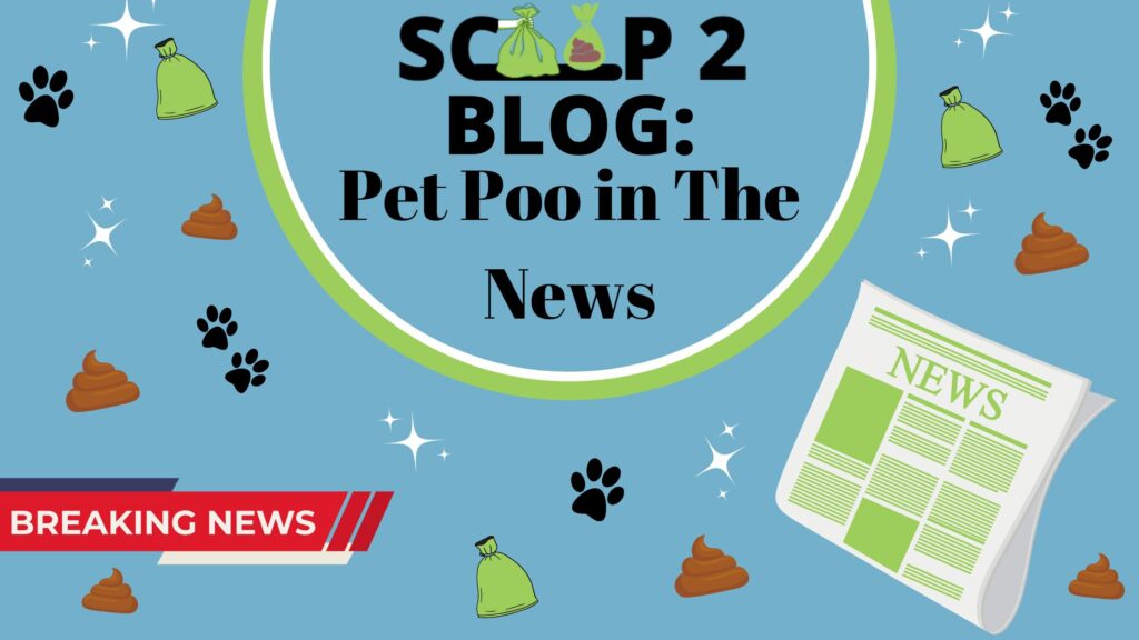 scoop 2 blog pet poo in the news