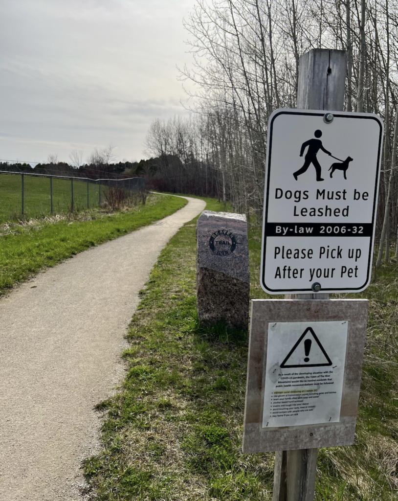 Beaver River Trail by Police Station. Dogs must be leashed please pick up after your pet (scoop 2)