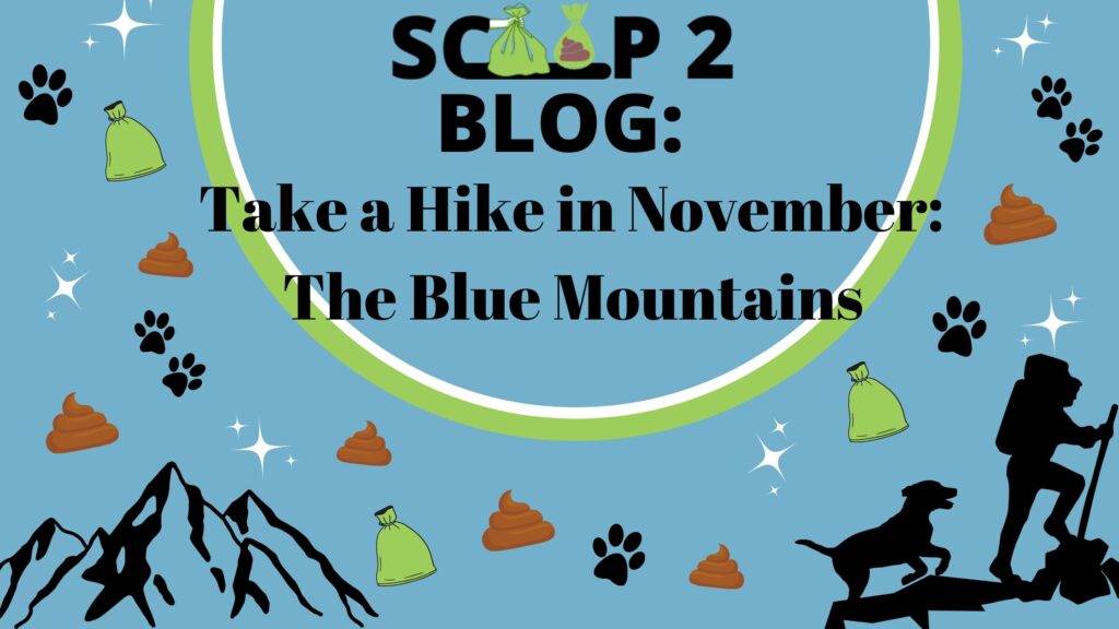 Scoop 2 Blog, Take a Hike in November: The Blue Mountains
