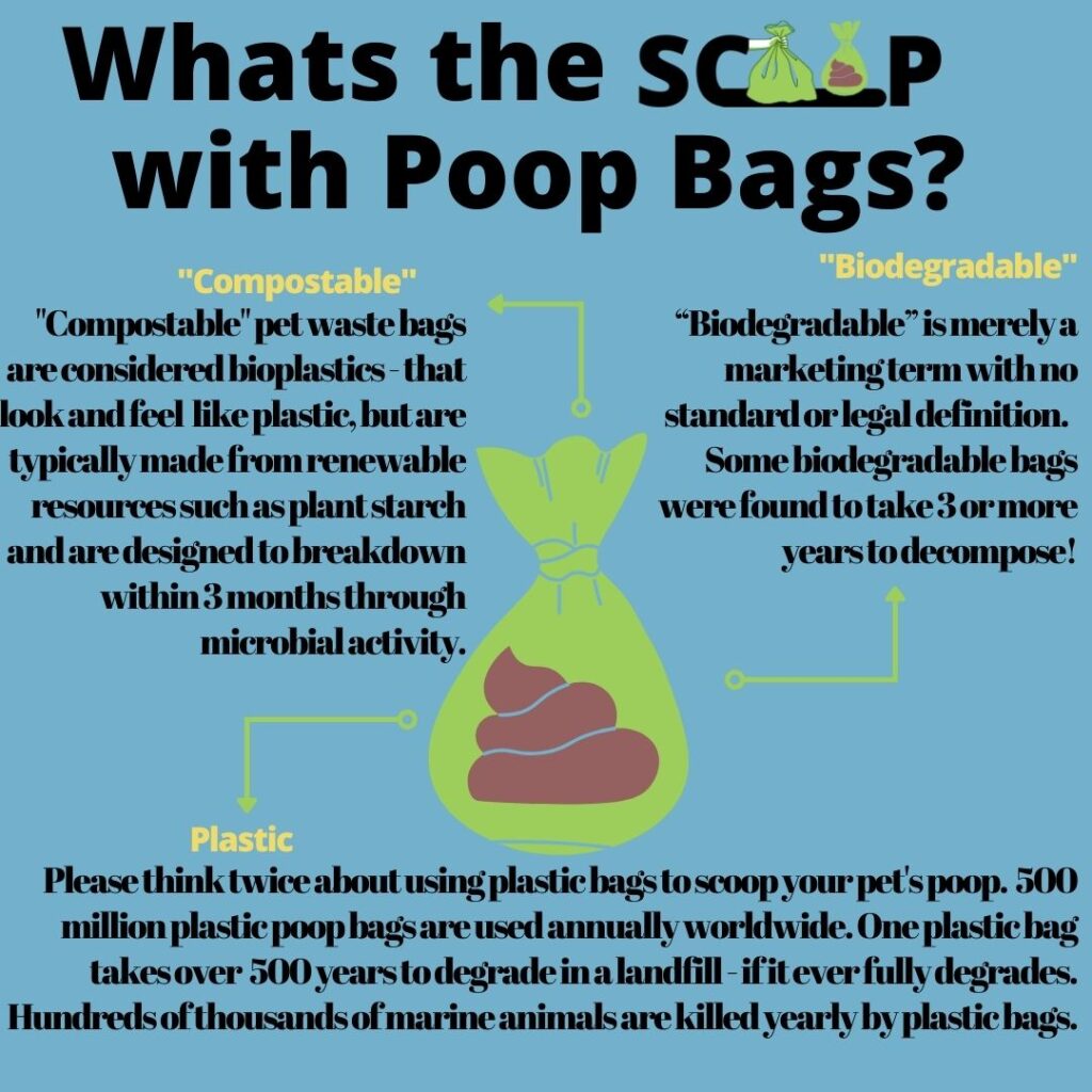 How to properly dispose pet waste: What's the scoop with poop bags? compostable vs. biodegradable vs plastic bags. Compostable are the best option!