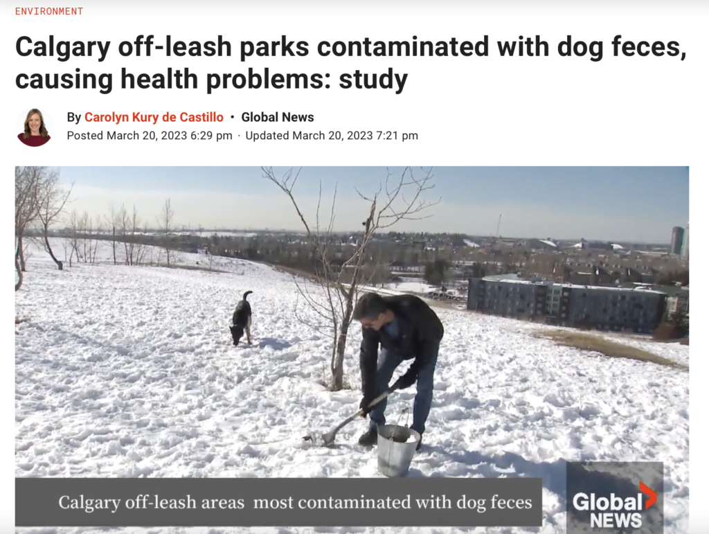 dog poop contaminating our watershed causing health problems study in Calgary off leash dog park