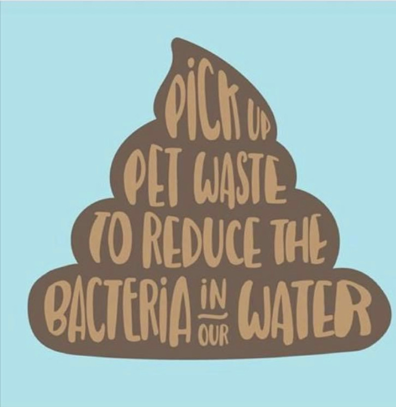 Scoop 2 for World Water Day: Why We Need to Protect Our Watershed: Pick up pet waste to reduce the bacteria in our water - credit to whomever this image  belongs