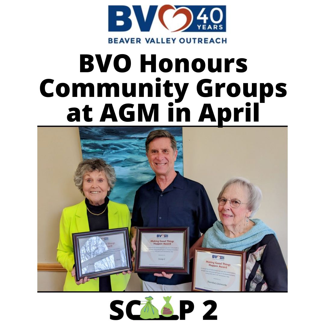 BVO Honours Community Groups at AGM in April